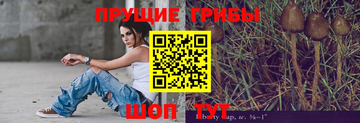 Галлюциногенные грибы MAGIC MUSHROOMS  Вход с VPN  Нальчик  Галлюциногенные грибы мухоморы 